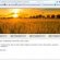 How to Create Your Blog Site