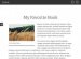 Blog Themes
