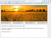 How to Create Your Blog Site