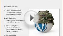 Anfisa Breus - Creating a business blog - Video 11