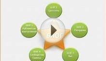 Anfisa Breus - Creating a business blog - Video 12